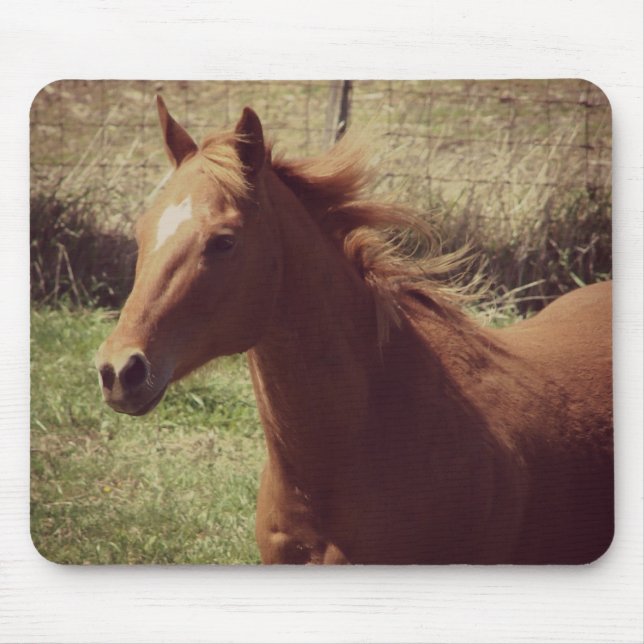 Scotch in Motion Mouse Mat (Front)