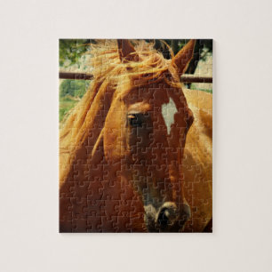 Scotch Jigsaw Puzzle