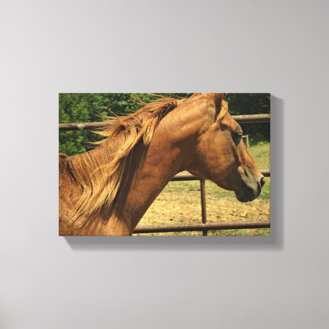 Scotch Round Pen Canvas Print (Front)