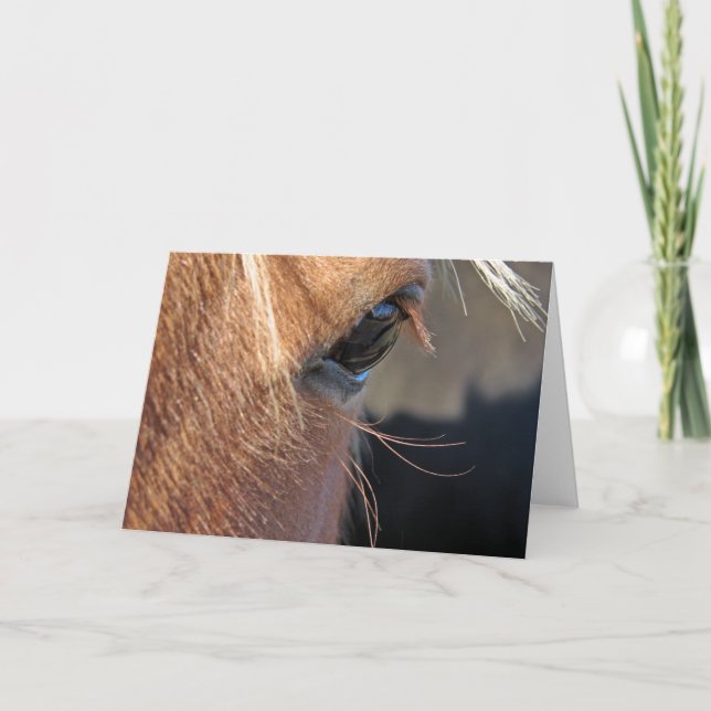 Scotch the Horse Eye Closeup All Occasion Greeting Card (Front)