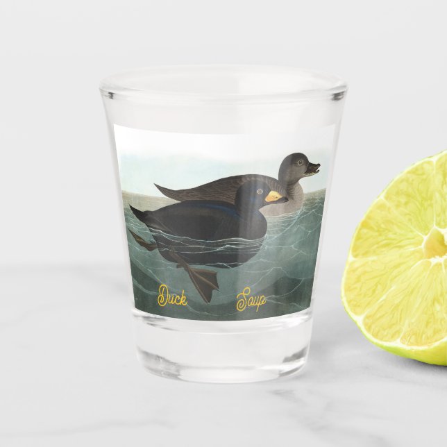 Scoter Duck Shot Glass (Front)