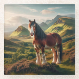 Scotland highlands Clydesdale horse Glass Coaster