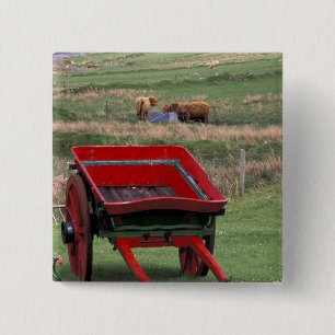 Scotland, Isle of Skye, Kilmuir. Farm animals 15 Cm Square Badge