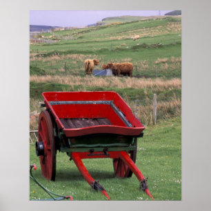 Scotland, Isle of Skye, Kilmuir. Farm animals Poster