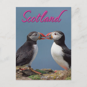 Scotland Postcard