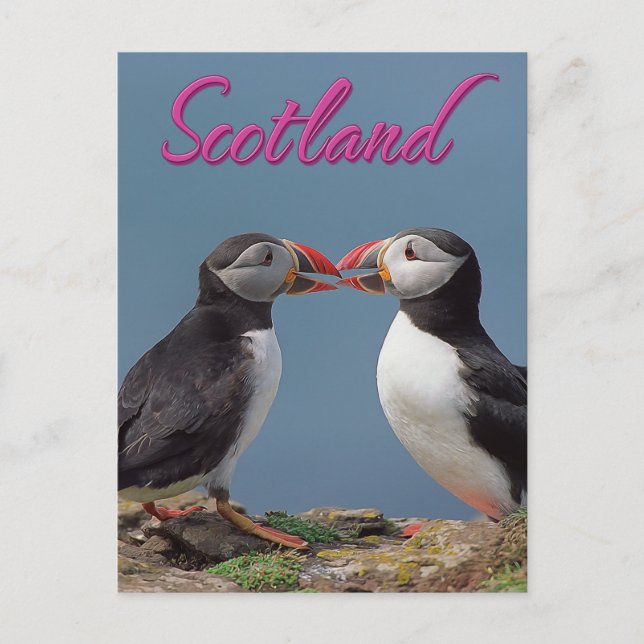 Scotland Postcard (Front)