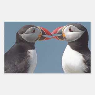 Scotland Rectangular Sticker