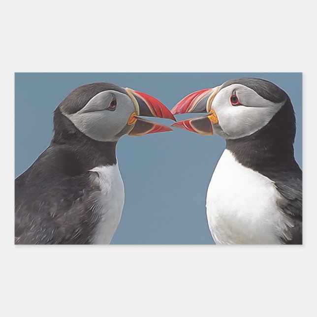 Scotland Rectangular Sticker (Front)