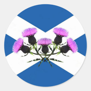 Scotland, St Andrews cross, thistle Classic Round Sticker