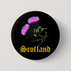 Scotland, thistle 6 cm round badge