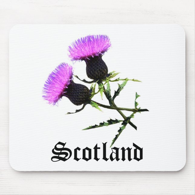 Scotland, thistle mouse mat (Front)