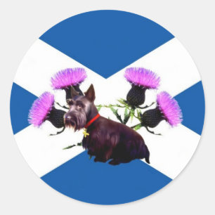 Scotland's Scottish Terrier Classic Round Sticker