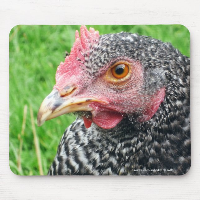 Scots Grey Hen Chicken - Poultry Mouse Mat (Front)
