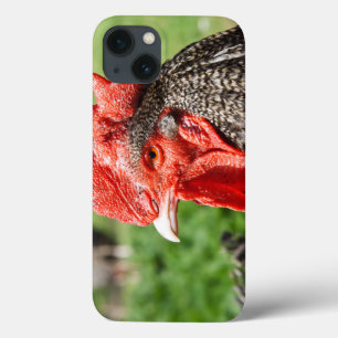 Scots Grey Rooster Photograph iPhone 13 Case