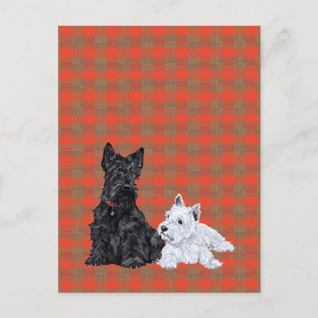 Scottie Adult & Westie Puppy Postcard (Front)