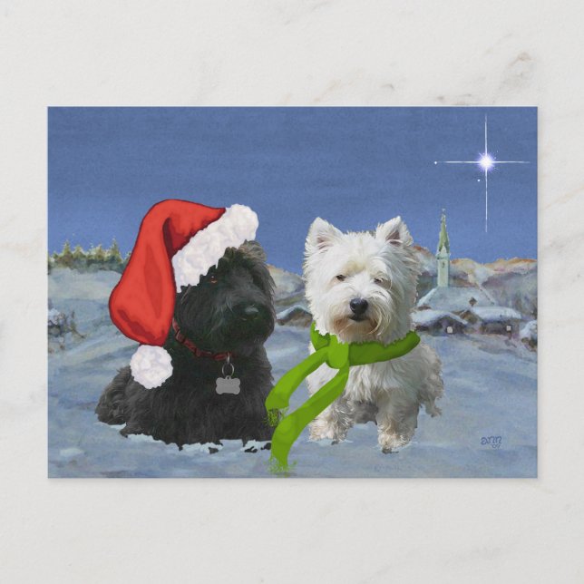 Scottie and Westie Christmas Star Holiday Postcard (Front)