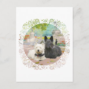 Scottie and Westie in a Garden Postcard