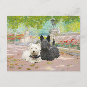 Scottie and Westie in a Garden Postcard