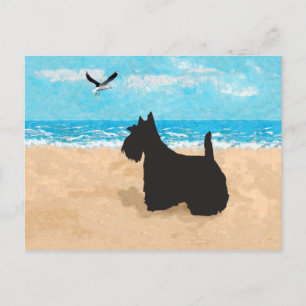 Scottie at the Beach with Seagull Postcard
