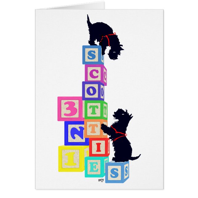 Scottie Blocks (Front)