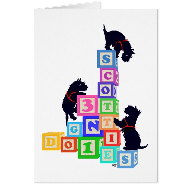 Scottie Blocks (Front)
