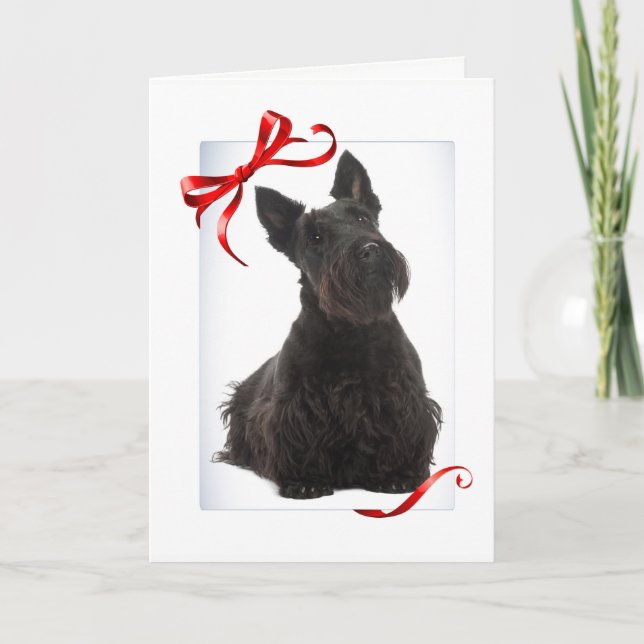 Scottie Christmas Card (Front)