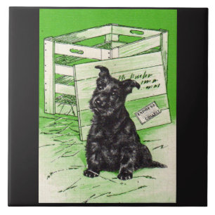 Scottie dog by special delivery tile