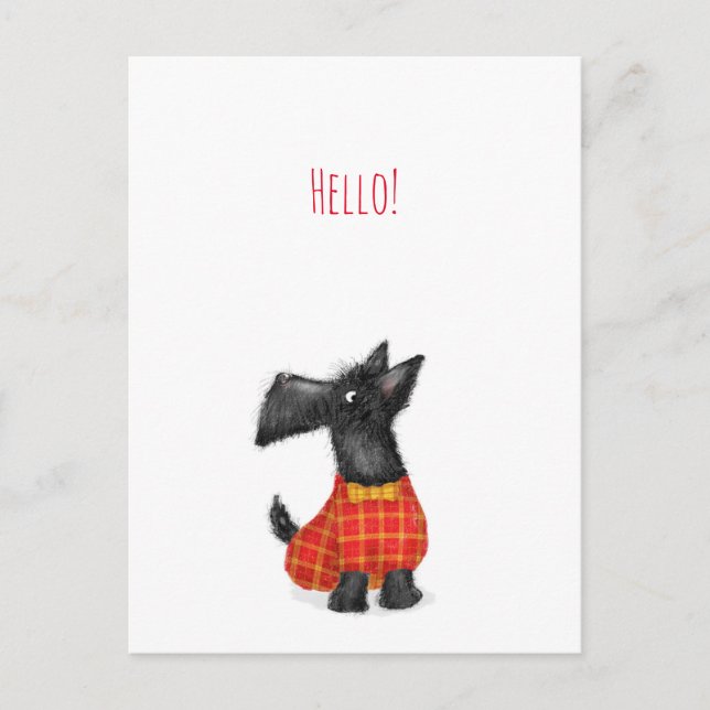 Scottie dog hello postcard (Front)