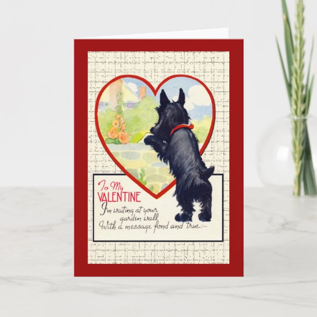 Scottie dog Valentine Scottish Terrier Holiday Card (Front)