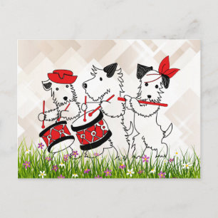 Scottie Dogs Band, cute and cuddly Postcard