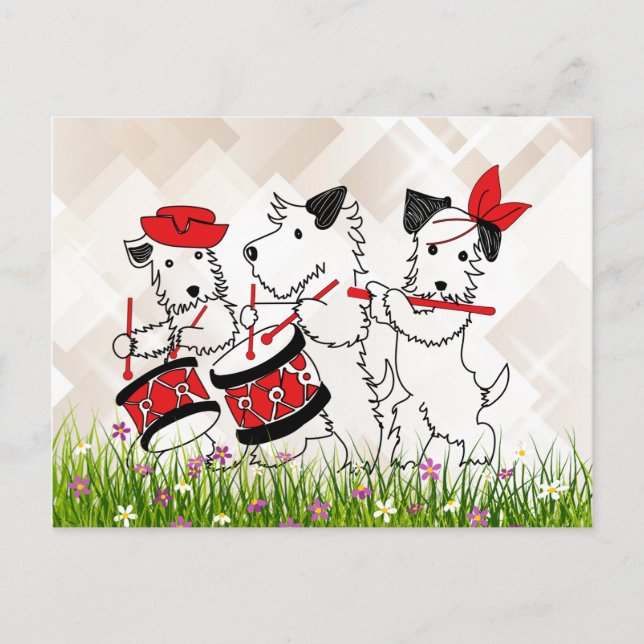 Scottie Dogs Band, cute and cuddly Postcard (Front)
