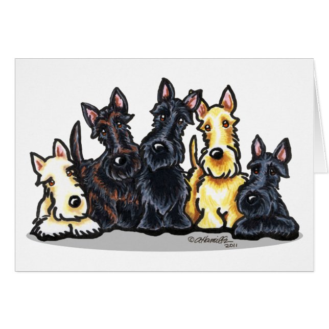 Scottie Five (Front Horizontal)