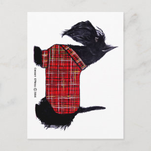 Scottie Holiday Jacket Postcard