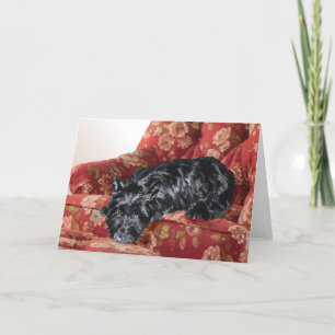 Scottie in a Big Red Chair Card