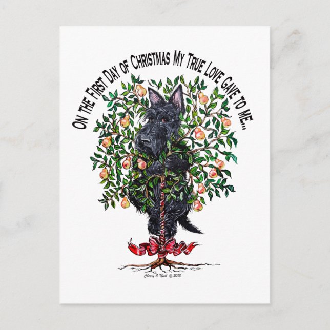 Scottie in a Pear Tree Postcard (Front)