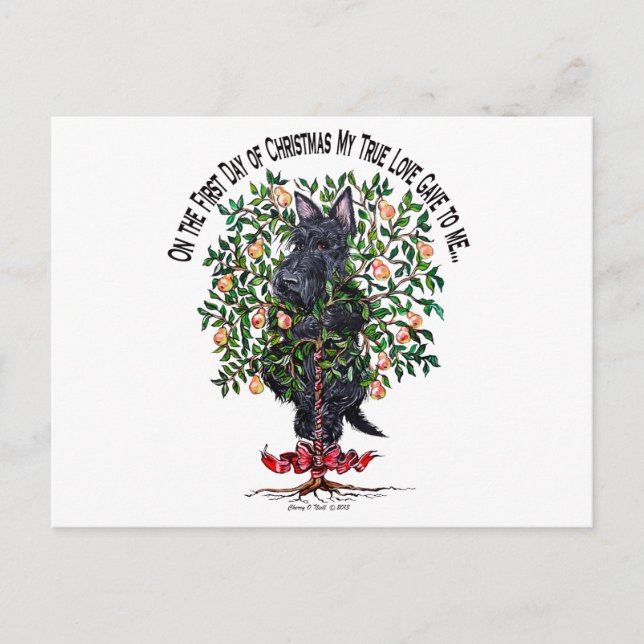 Scottie in a Pear Tree Postcard (Front)