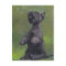 "Scottie Loves Bubbles" Dog Art Postcard