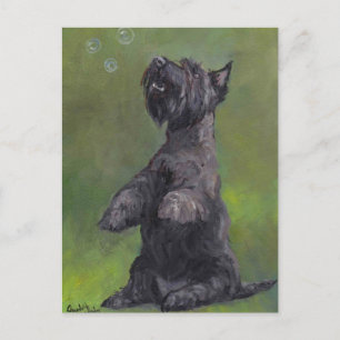 "Scottie Loves Bubbles" Dog Art Postcard