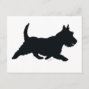 Scottie on the Go Postcard
