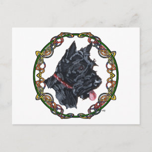 Scottie Portrait Celtic Knotwork Postcard