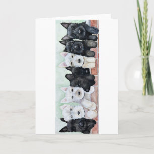 Scottie Puppies Card