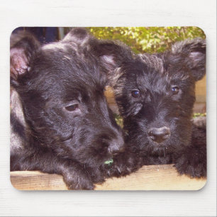 Scottie Pups Mouse Mat