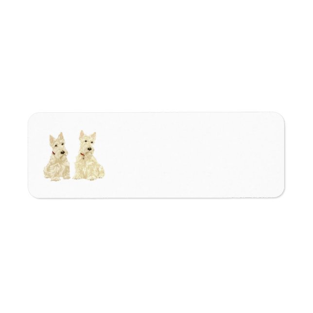 SCOTTIE Return Address Labels (Front)