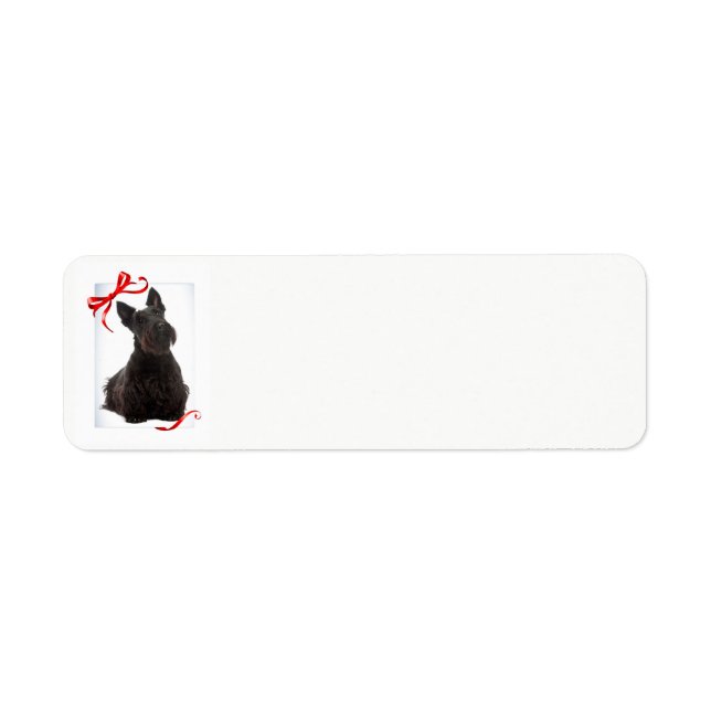 Scottie Return Address Labels (Front)