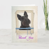 Scottie Thank You Card