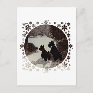 Scotties on Surreal Winter Night Postcard