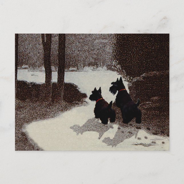 Scotties on Surreal Winter Night Postcard (Front)