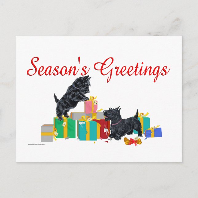 Scotties Sort the Christmas Gifts Holiday Postcard (Front)