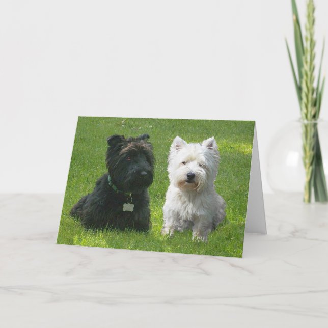 Scottish and West Highland Terriers Greenwood Card (Front)