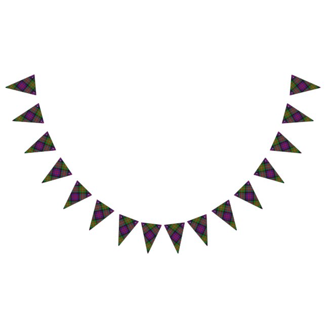 Scottish Clan Carnegie Tartan Bunting (All)